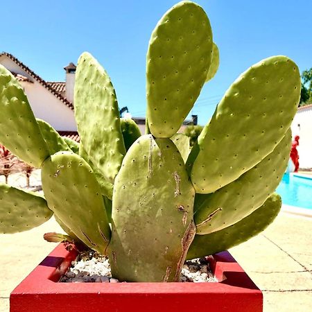 Bed and Breakfast Casal Dos Frades Fontainhas  Exterior foto